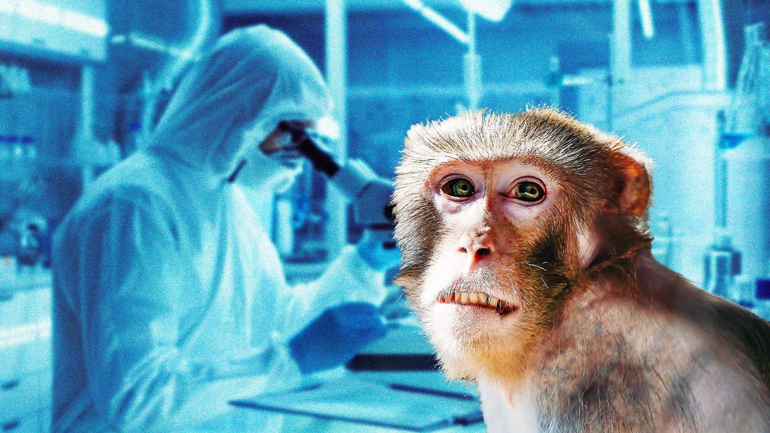 France identifies first case of new mpox variant, AFP reports - GHealth ...