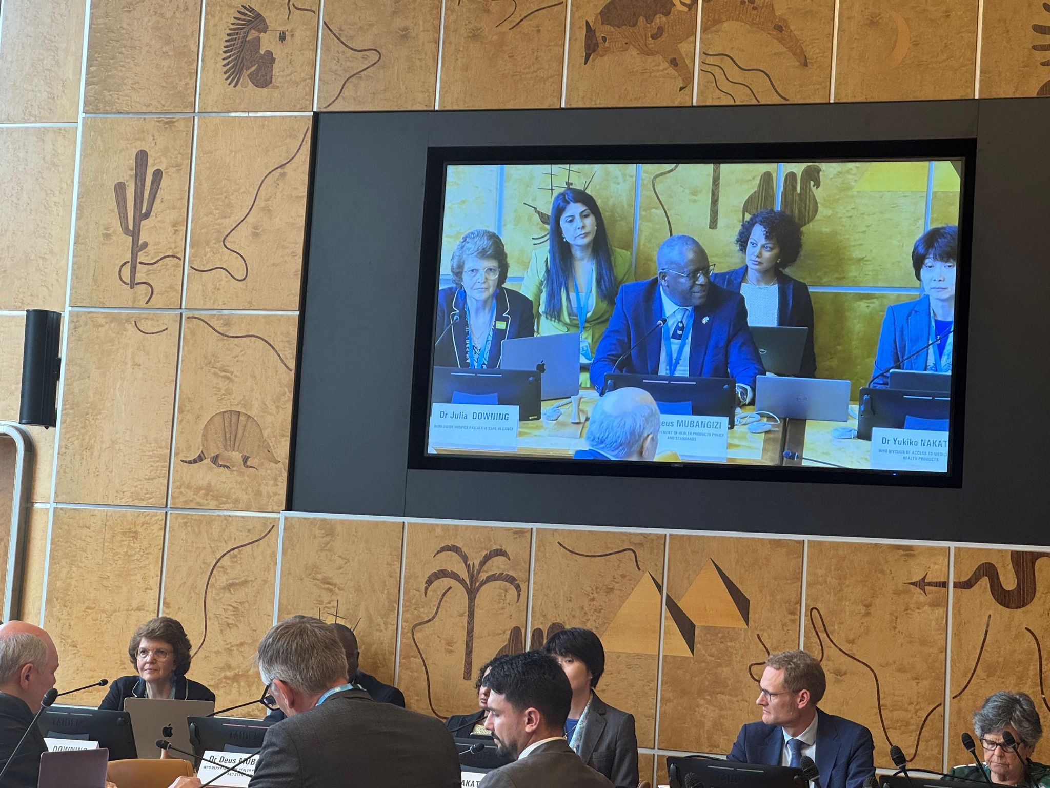 WHO Launches First Global Guideline on Balanced Access to Controlled ...
